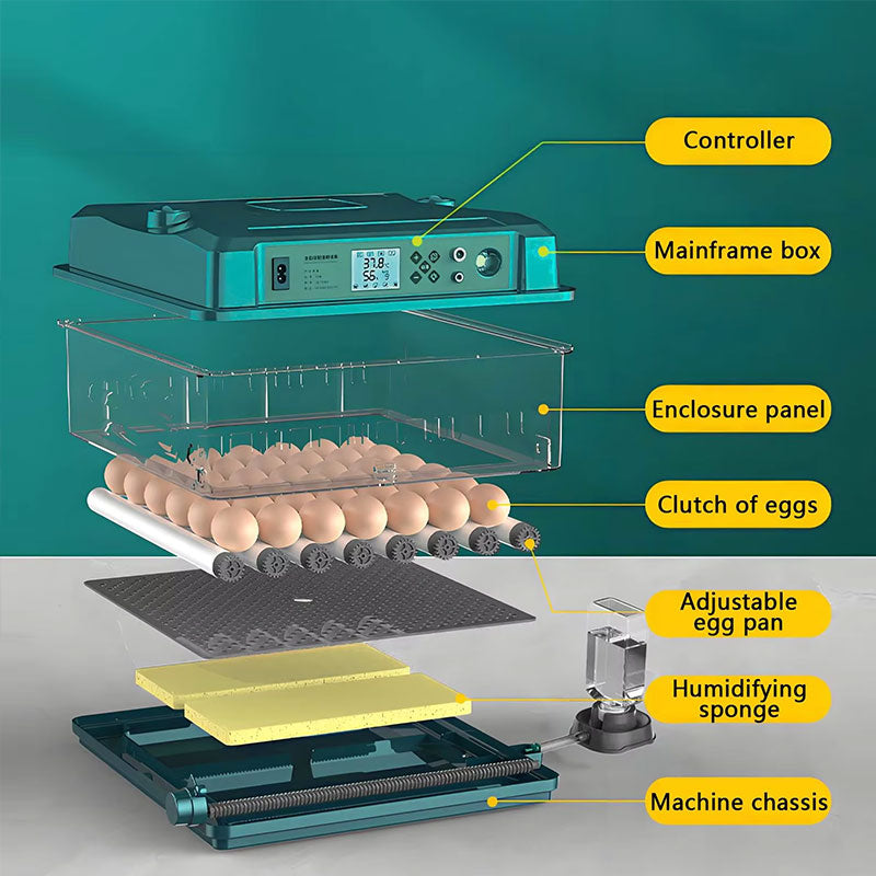 24/36 Egg Incubator Fully Automatic, Auto Turner & Temp Control, Dual Power 220V/12V Mini Poultry Hatcher for Chicken Duck eprolo