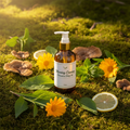Morning Canopy Botanical Body Oil