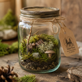 Woodland Pocket Terrarium Wild Find. Mushrooms and More