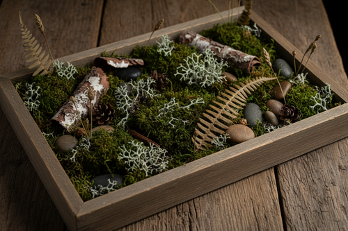 Woodland Foraged Nature Art Wild Find. Mushrooms and More